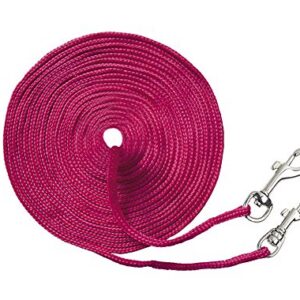 NOBBY — Laisse pour chat rouge