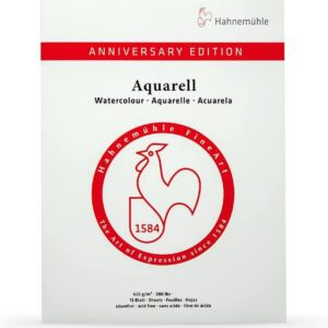 Hahnemühle Bloc de 15 feuilles pour aquarelle - Mat - 425 g/m² - 30 x 40 cm