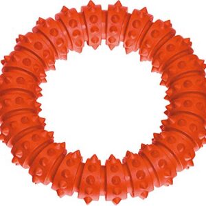 KARIE RUB DOG TOY RUFFUS AQUARING ORA 15