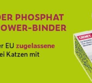 Alternative view of Dechra Catney One | 30 x 520 MG | Aliment complémentaire pour des objectifs nutritionnels particuliers chez Les Chats | pour Soutenir la Fonction rénale en Cas d'insuffisance rénale Chronique