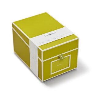 Semikolon 370080 Boîte à CD et photos - 17,7 x 15,7 x 25,6 cm - pour photos 10 x 15 cm - Couverture vert clair matcha