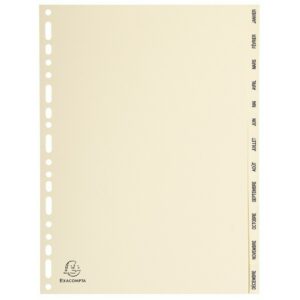 EXACOMPTA Jeu intercalaire CARTE PEAU A4 12 POS. JANV/DEC.