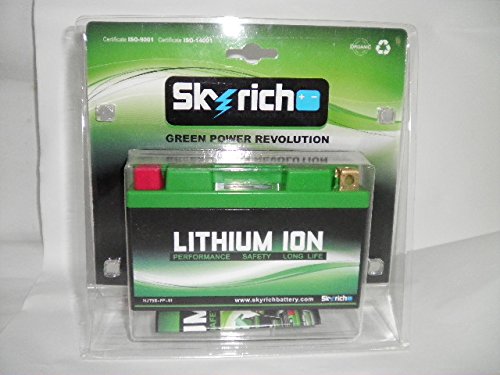SKYRICH HJT9B-FP — Batterie Lithium – Image 2