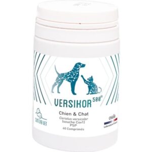 Sum Lab Vet Versikor 500 chien et chat 60 cps