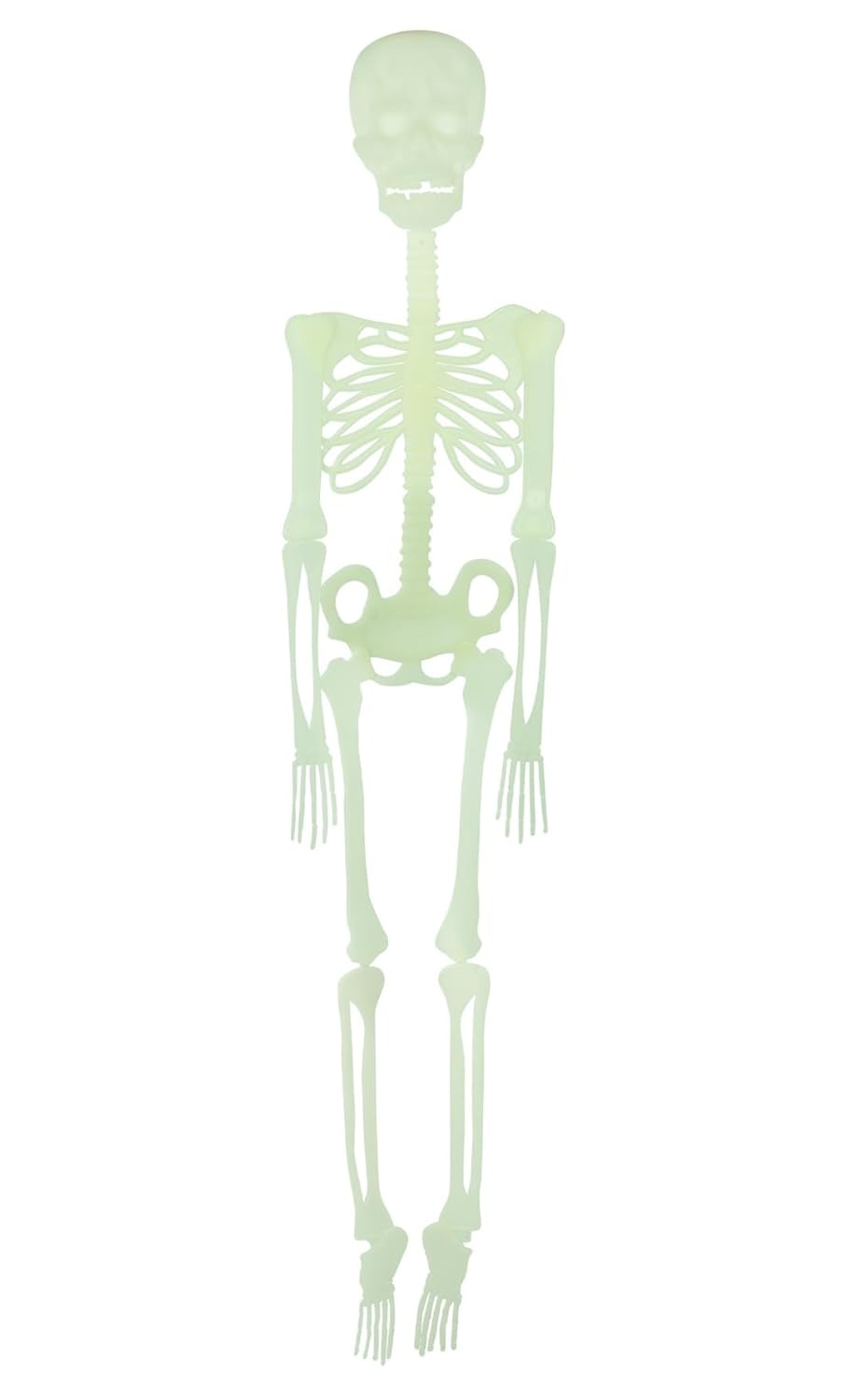 P'tit Clown - 24074 - Squelette Articulé Phosphorescent à Suspendre - Décoration Effrayante Halloween - Accessoire Idéal pour Maison Hantée, Fête, Soirée, Évènement à Thème - 150 cm