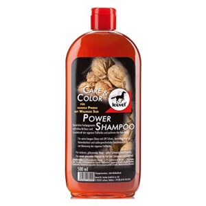 SHAMP.POWER NOIX 500ML