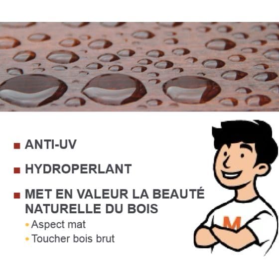BLANCHON — Saturateur bois incolore 20 Litres – Image 3