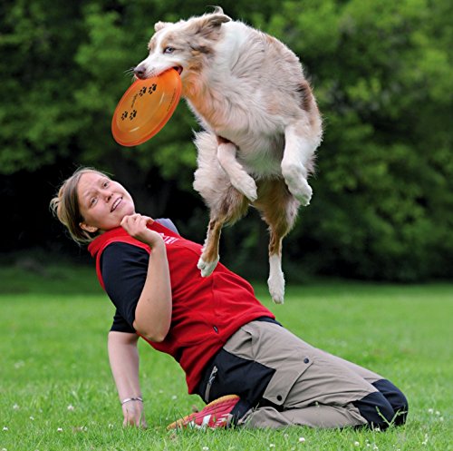 TRIXIE — Frisbee pour Chien 23 cm – Image 2