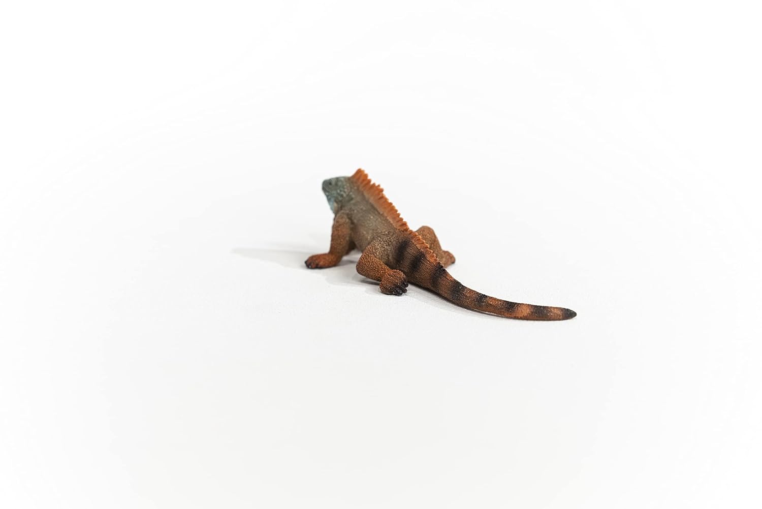 SCHLEICH Wild Life — Figurine Iguane multicolore – Image 4