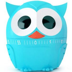 Kikkerland - Minuteur Chouette Coloris aléatoire, Vert