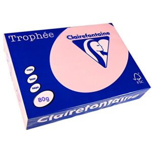 Clairefontaine - Réf. 1973C – 2500 feuilles de papier couleur au format A4 - Trophée 80 g/m² – Carton contenant 5 ramettes de 500 feuilles – Couleur rose