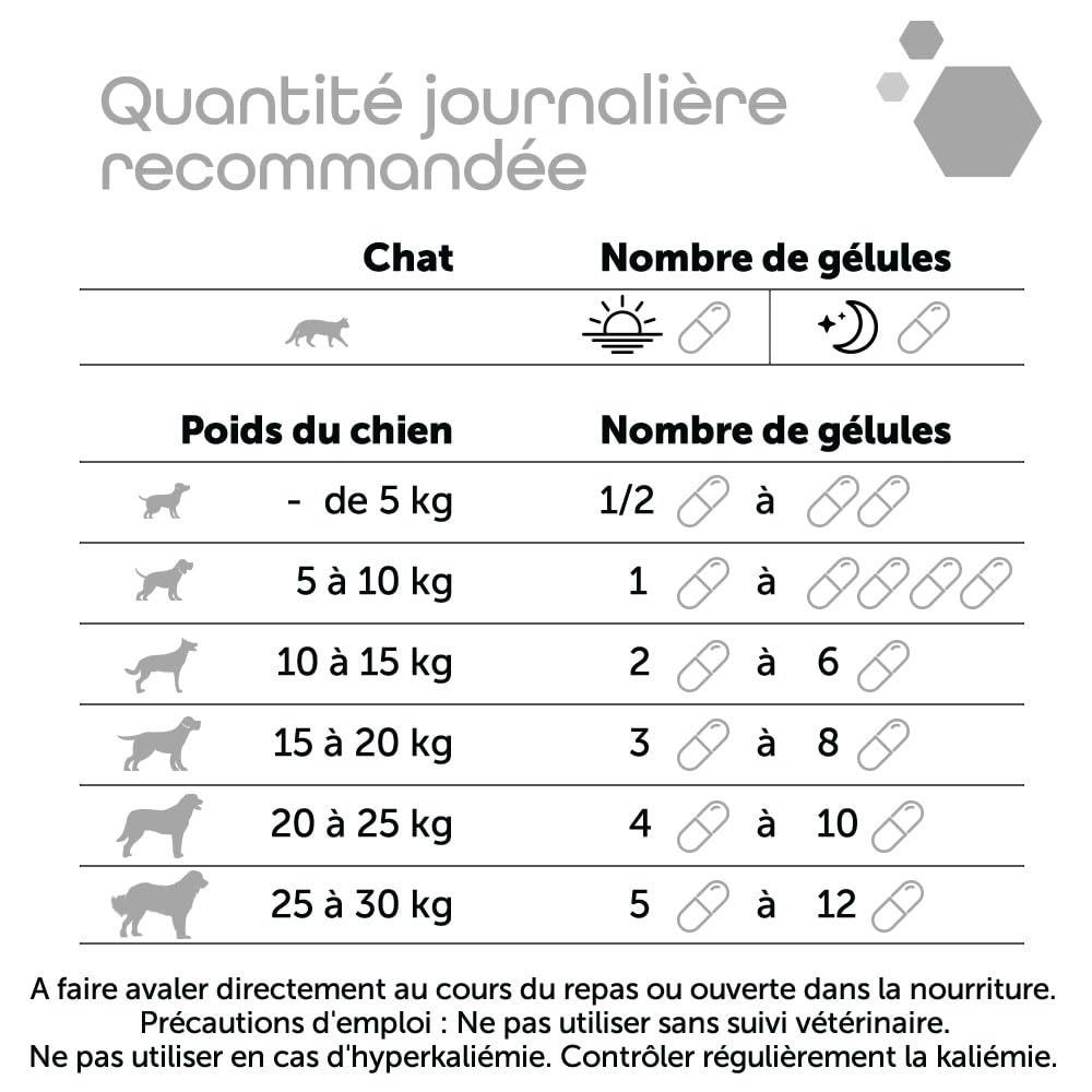 MP LABO K for Cat — 60 Gélules pour Chien et Chat – Image 5