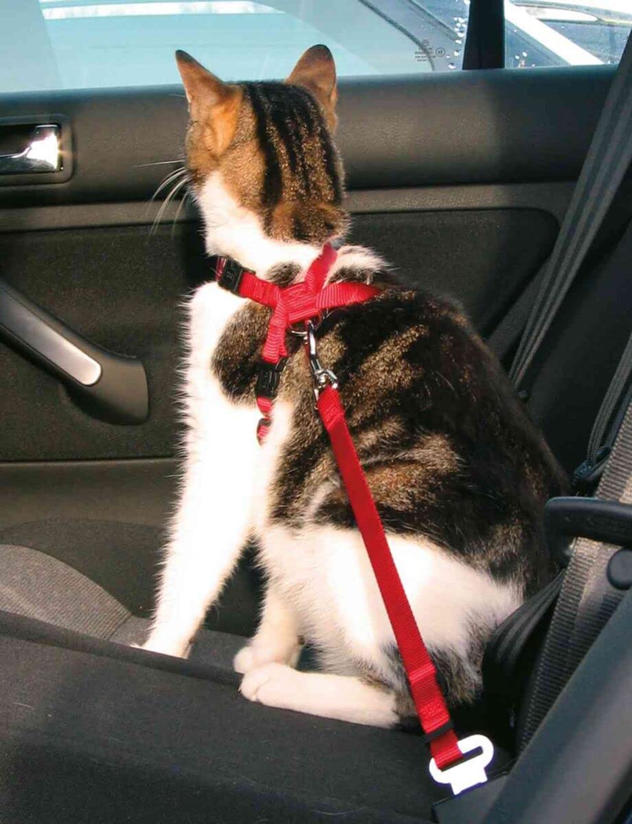 TRIXIE — Harnais voiture pour chat rouge 20-50 cm/15 mm – Image 3