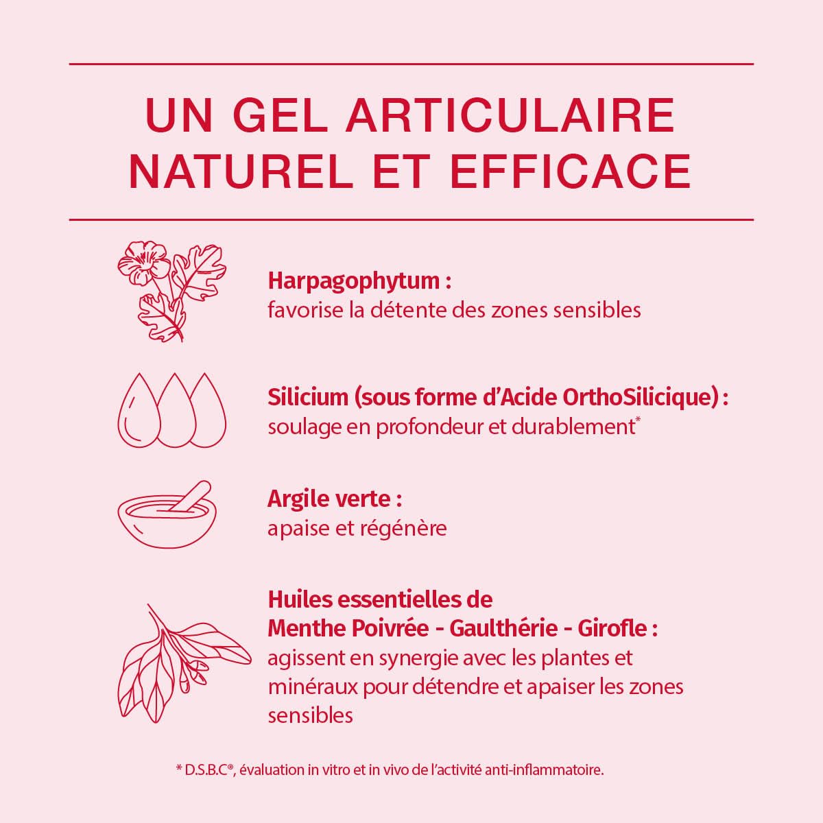 PHYTORESEARCH Cartidol — Complément alimentaire articulations 60 gélules – Image 2