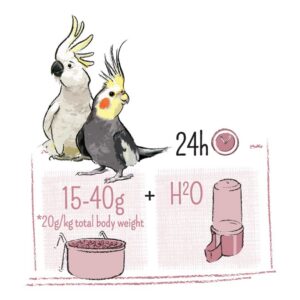 Alternative view of WITTE MOLEN Pure — Nourriture grandes perruches et cacatoès 750 g