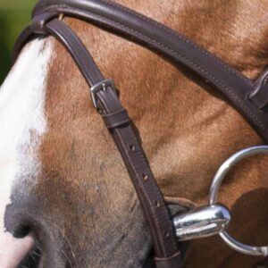 Alternative view of RIDING WORLD — Bridon combiné havane taille COB