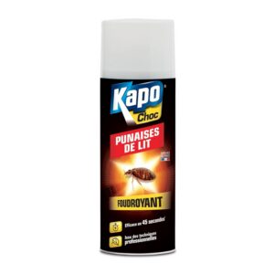 Kapo Aérosol punaises de lit - La bombe de 400ml