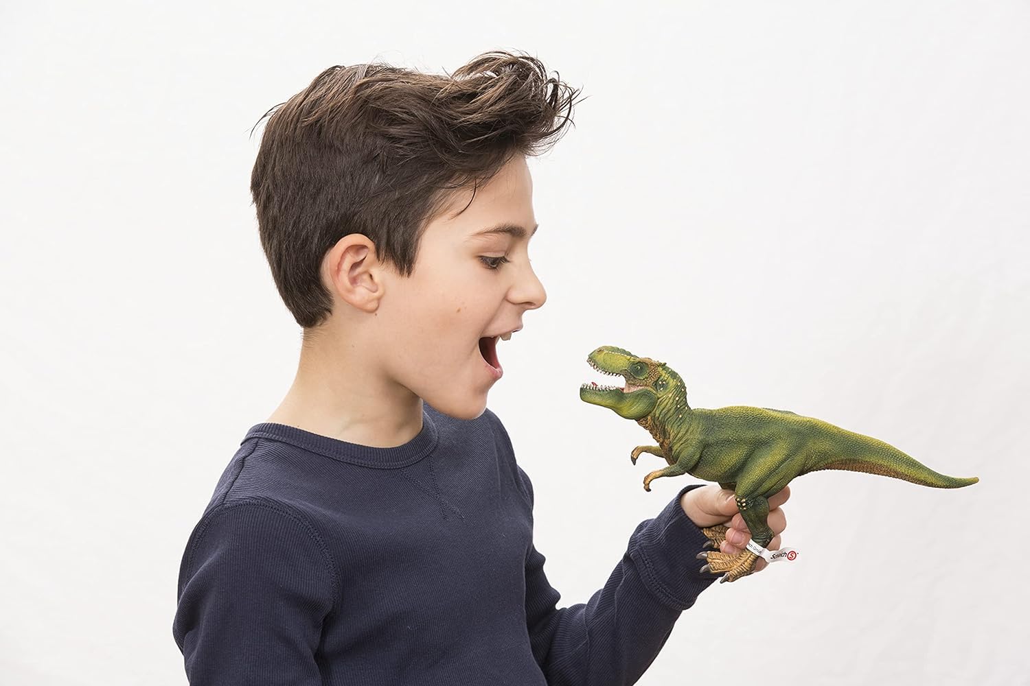 SCHLEICH Dinosaurs — Figurine Tyrannosaure Rex vert – Image 5