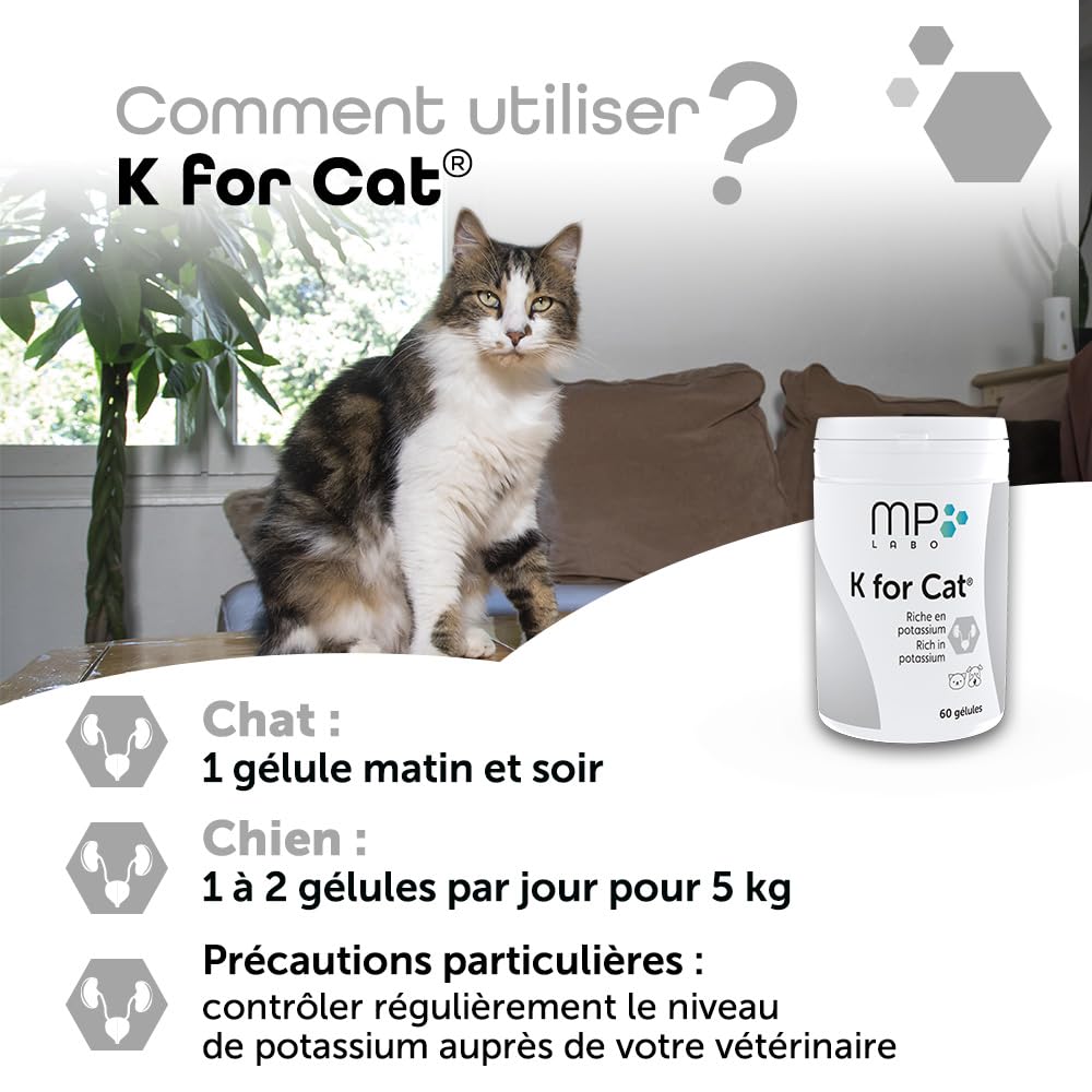 MP LABO K for Cat — 60 Gélules pour Chien et Chat – Image 4