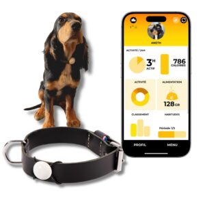Martin Coach - Traqueur d’activité et Nutrition pour Chien - Pendentif connecté Bluetooth avec Application Mobile - Suivi santé, Alimentation et localisation sans abonnement