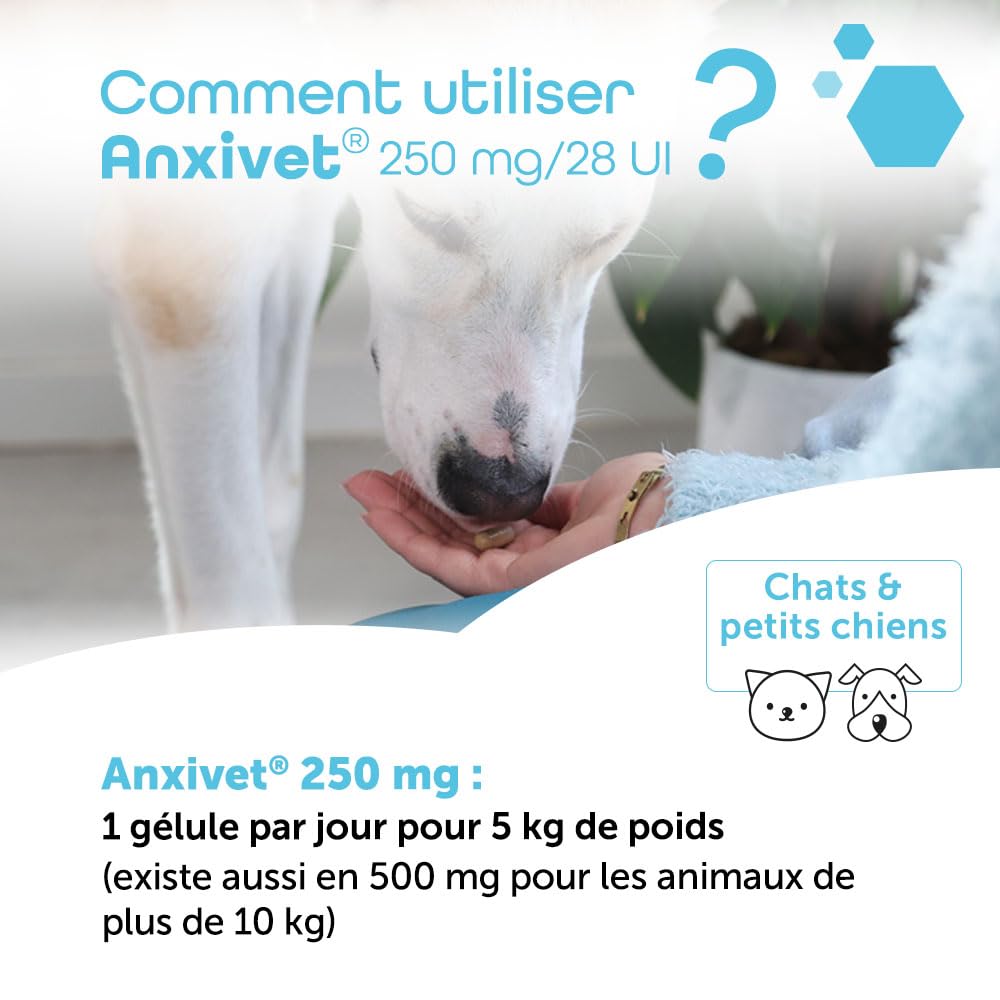 MP LABO Anxivet — Complément Chien et Chat 30 gélules – Image 5