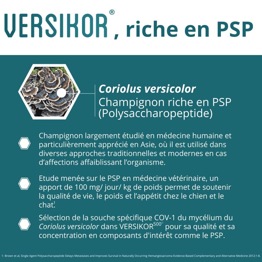 SUM LAB VET Versikor 500 — Complément nutritionnel 60 comprimés – Image 3