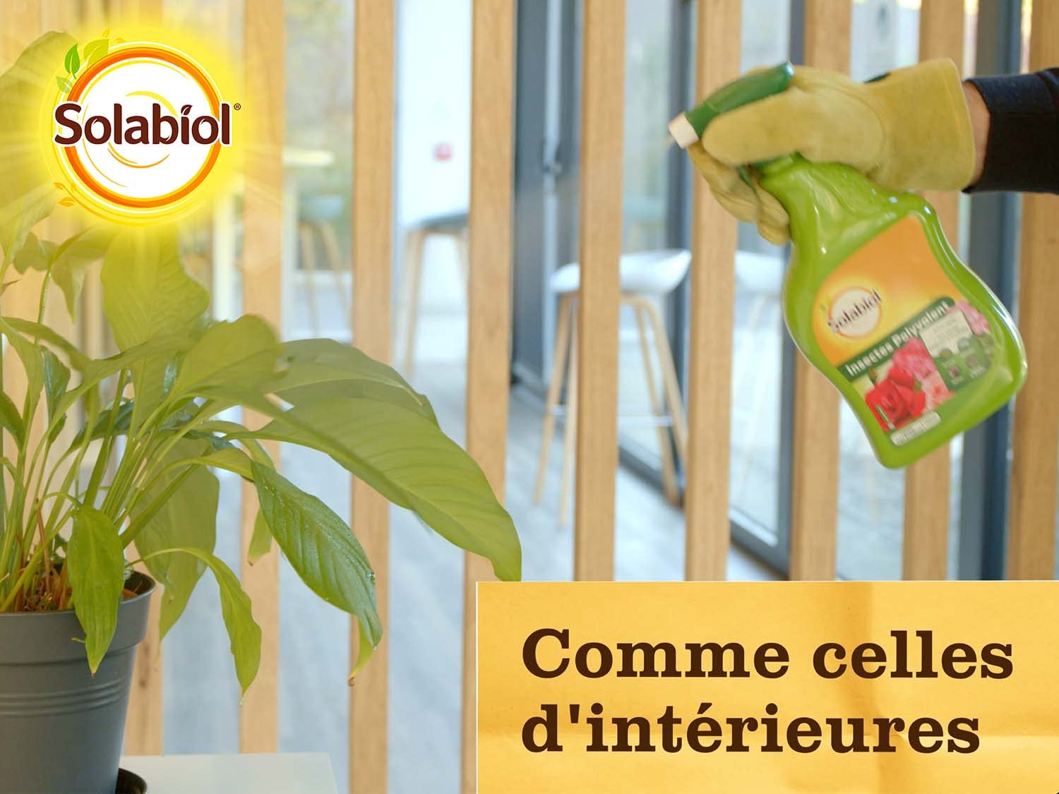 SOLABIOL — Insecticide Polyvalent Prêt à l'emploi 750ml – Image 6