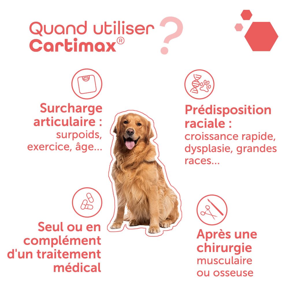 MP LABO Cartimax — Complément articulaire chien et chat 50 gélules – Image 6