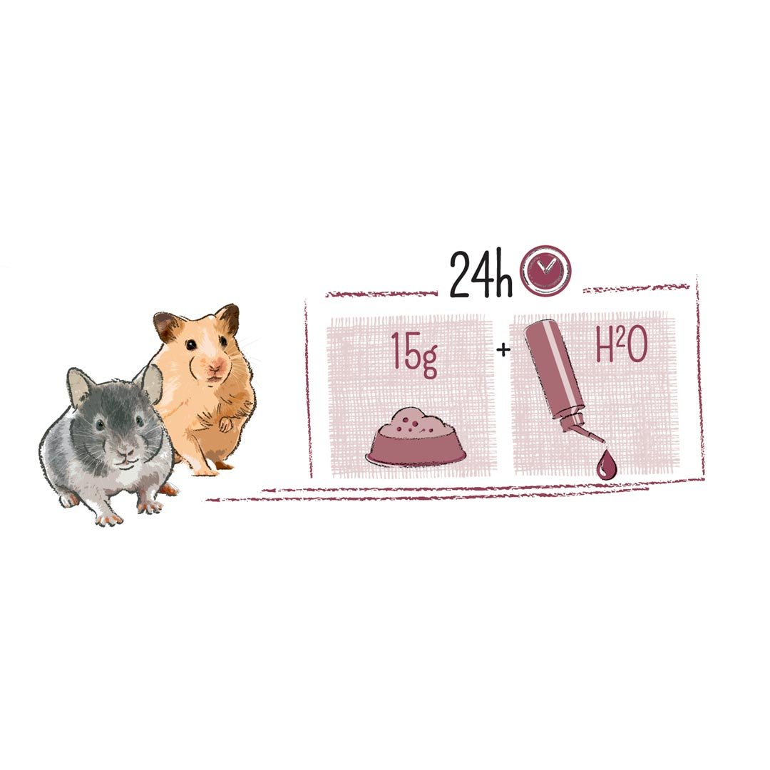 WITTE MOLEN Puur — Aliment complet pour hamster 400 g – Image 2