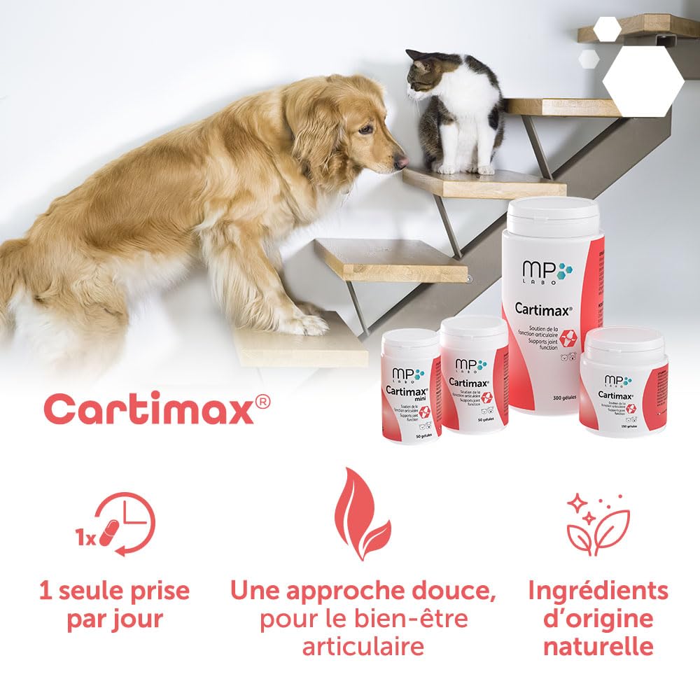 MP LABO Cartimax — Complément articulaire chien et chat 50 gélules – Image 3