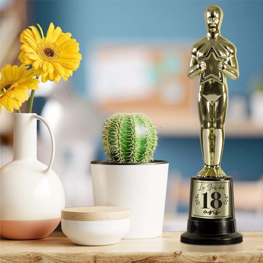 GENERIQUE — Trophée de Star 18 Ans – Image 2