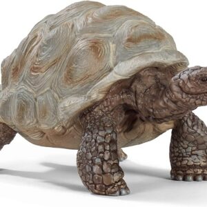 Schleich Wild Life | Tortue Géante 14824 | Figurines animales détaillées | Jouet de Zoo | Superbe Cadeau pour Filles et garçons | décoration d’Anniversaire | Figurine dès 3 Ans | 8 x 4 x 4 cm