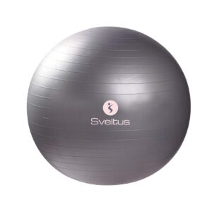 Sveltus Gymball gris Ø65 cm vrac