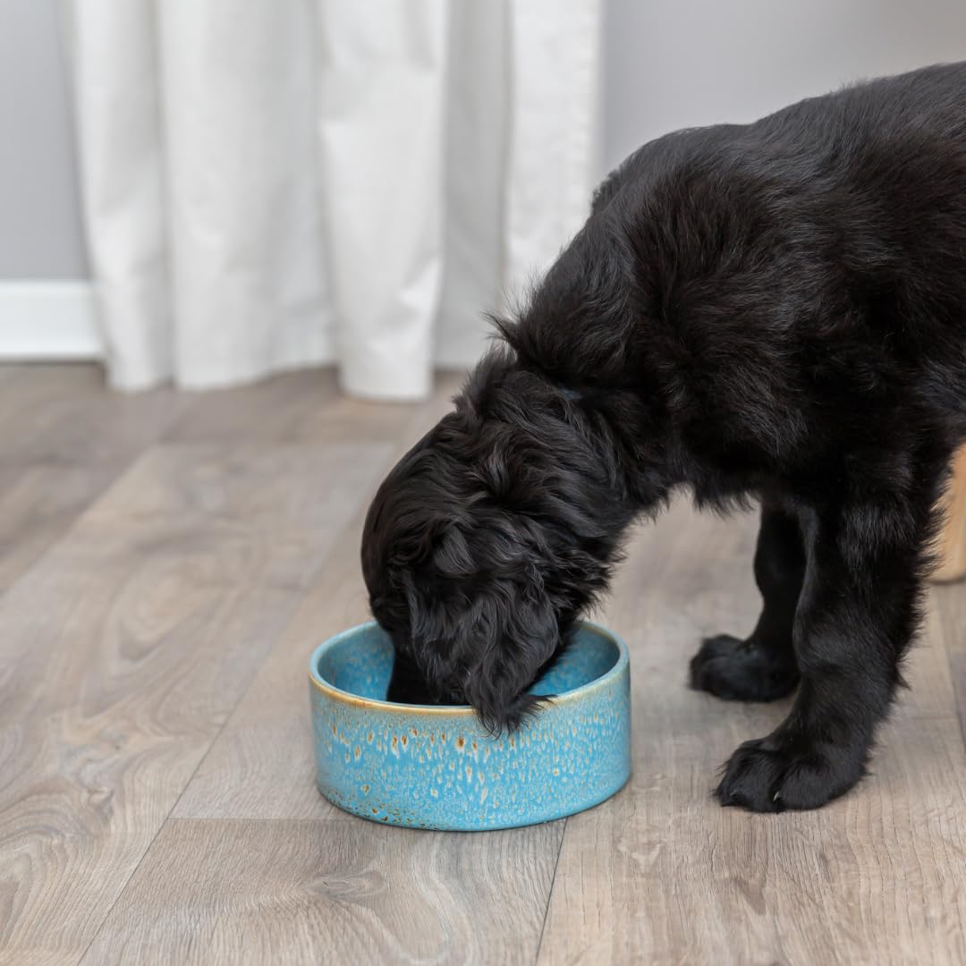 TRIXIE — Mangeoire pour Chien céramique 0,9 l Ø 16 cm – Image 3