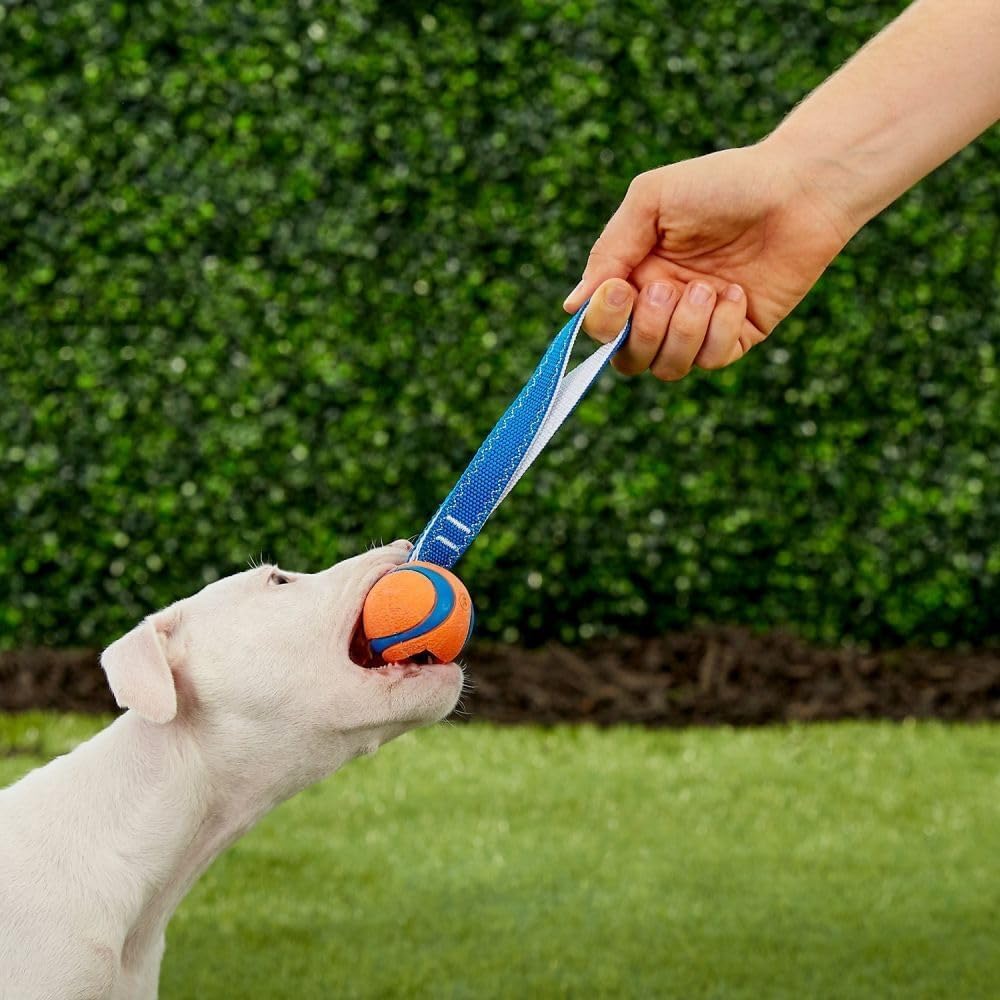 CHUCKIT Ultra Tug — Jouet pour Chien 5 cm Taille S – Image 3