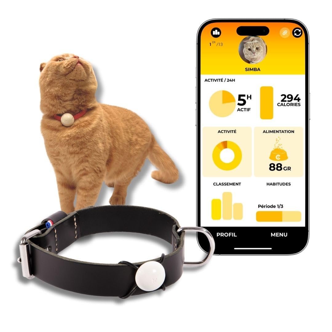 martin Coach - Traqueur d’activité et Nutrition pour Chat - Pendentif connecté Bluetooth avec Application Mobile - Suivi santé, Alimentation et localisation sans abonnement