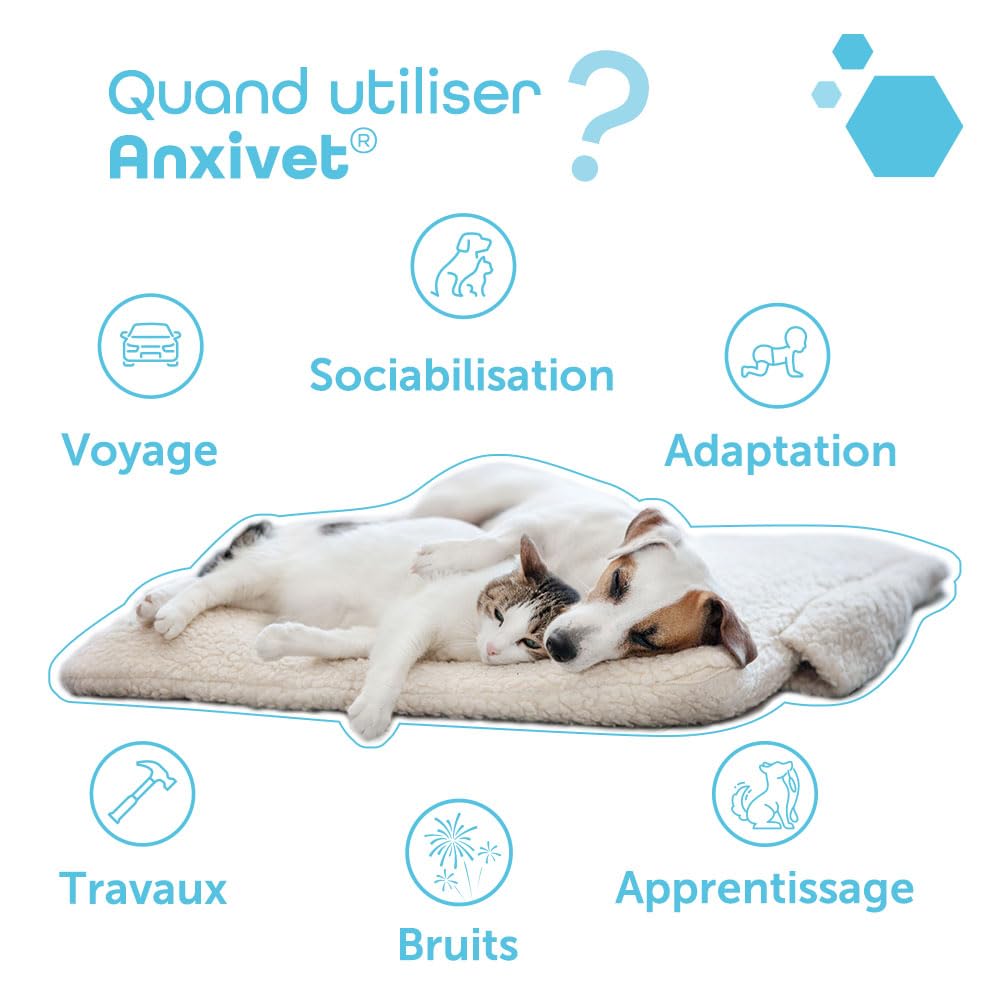 MP LABO Anxivet — Complément Chien et Chat 30 gélules – Image 6