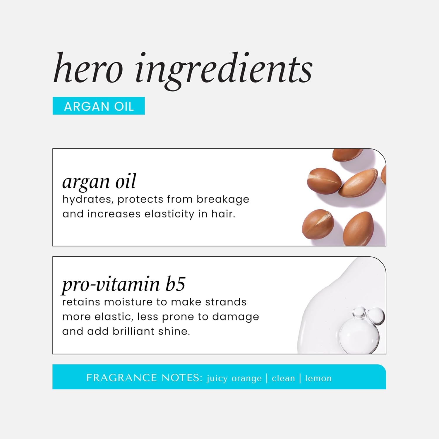 HASK Argan Oil — Shampooing Réparateur 355 ml – Image 5