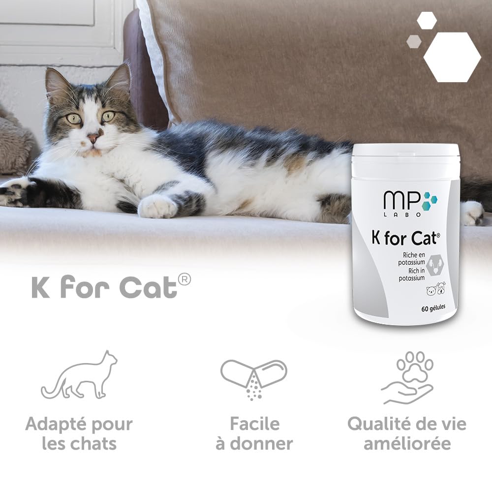 MP LABO K for Cat — 60 Gélules pour Chien et Chat – Image 3