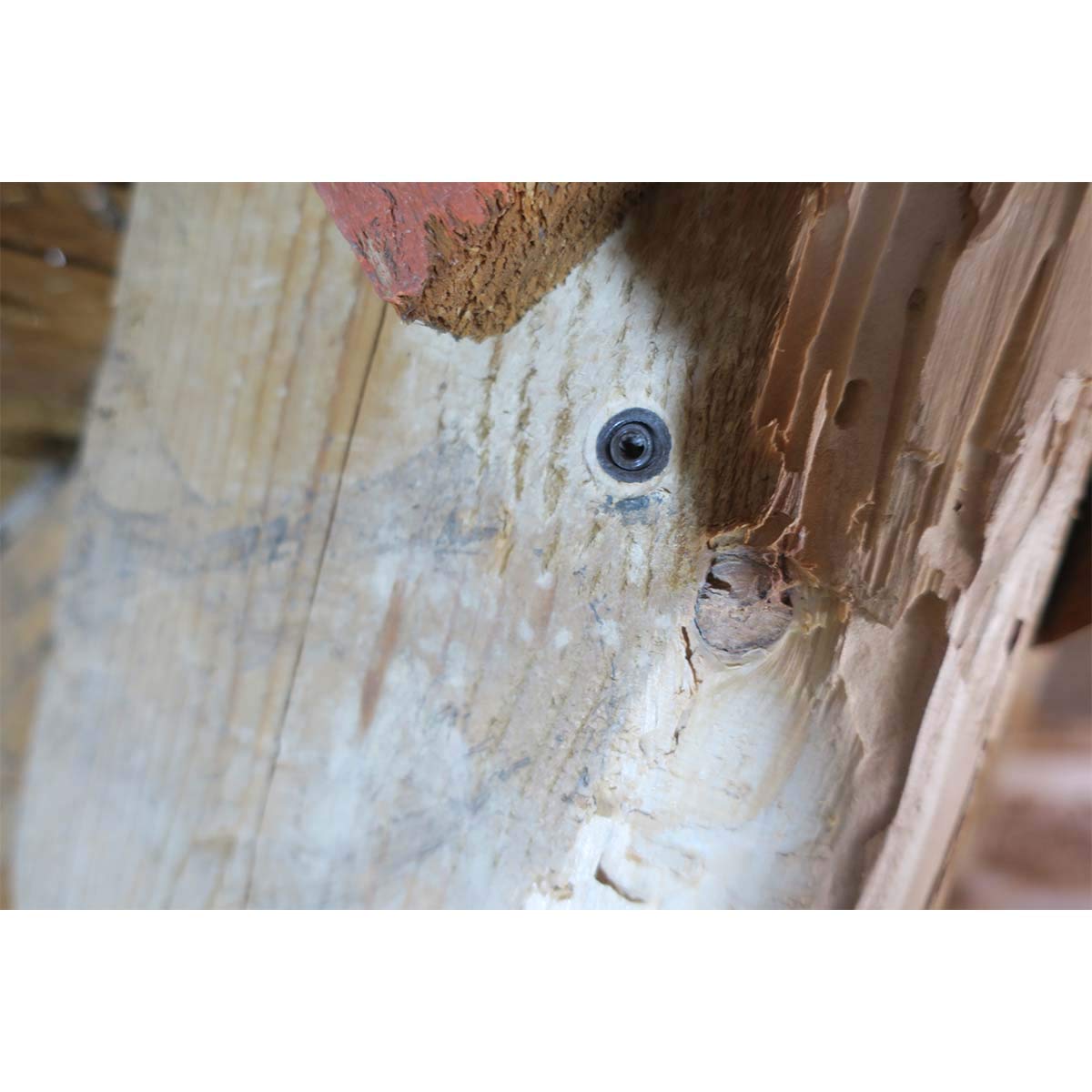 DALEP — Lot de 500 injecteurs bois Ø9,5 mm sans tête – Image 4