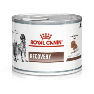 Royal Canin Vet Dog/Cat Recovery Nourriture pour Chien 195 g