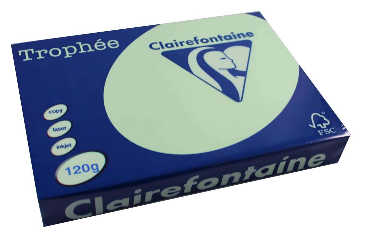 Clairefontaine Trophee 1216C Ramette de papier pour imprimante et photocopieur Couleurs intenses DIN A4 120 g 250 feuilles Vert 1 ramette