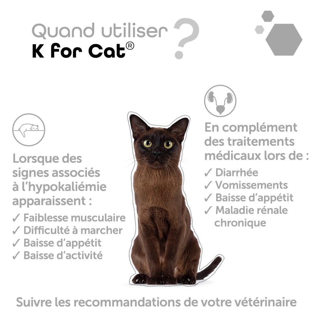 MP LABO K for Cat — 60 Gélules pour Chien et Chat – Image 6