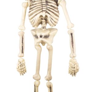 P'tit Clown - Décoration Squelette Halloween en Plastique - Réaliste et Effrayant avec Détails Sculptés pour Créer Une Ambiance Macabre