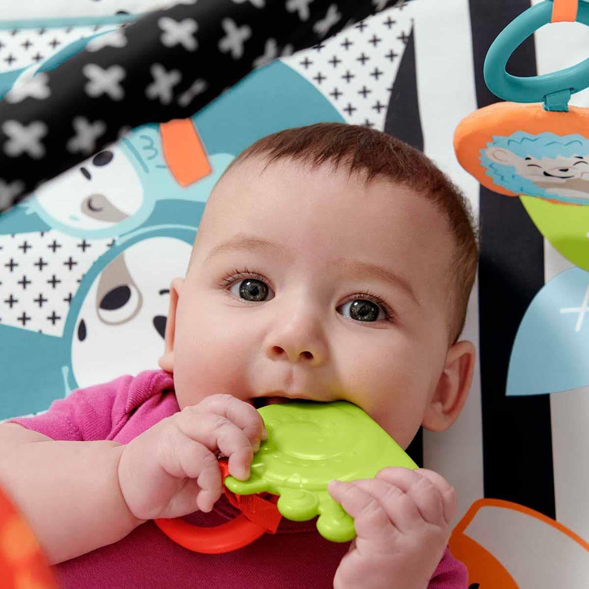 MATTEL FISHER-PRICE — Aire de Jeux Musicale 3 en 1 – Image 5