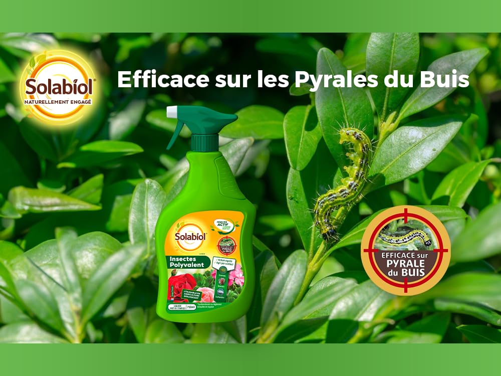 SOLABIOL — Insecticide Polyvalent Prêt à l'emploi 750ml – Image 2