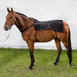 CHAUF.DOS BoTRoyal 80x105 NOIR