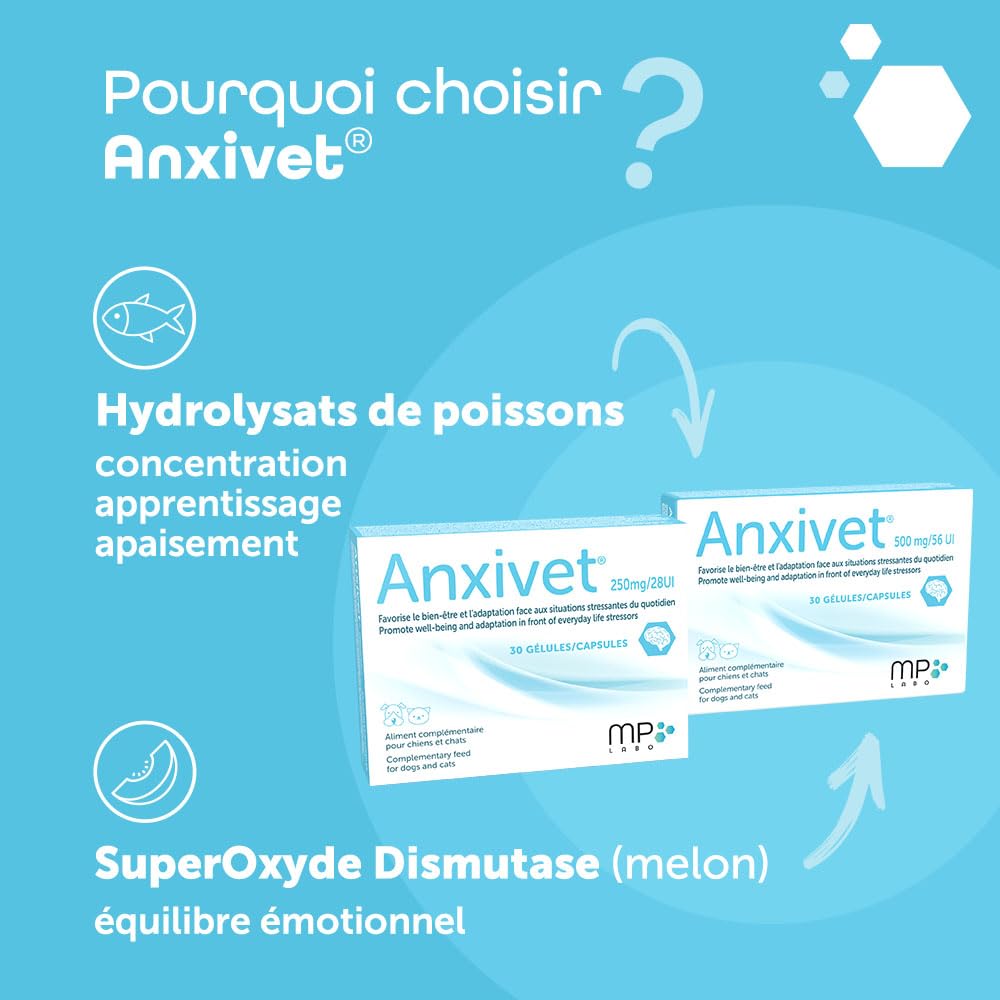 MP LABO Anxivet — Complément Chien et Chat 30 gélules – Image 4