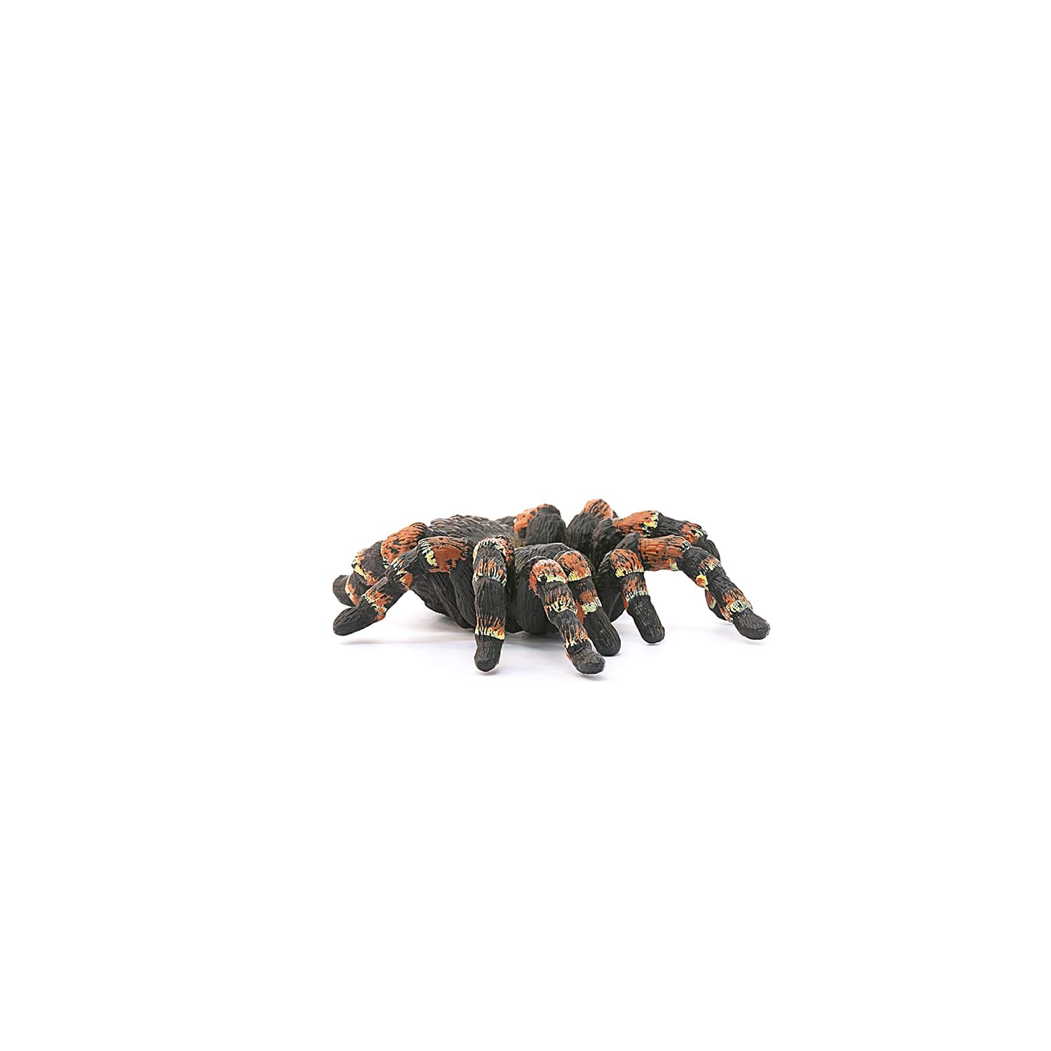 SCHLEICH Wild Life — Figurine Tarentule – Image 2