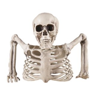 P'tit Clown - Décoration Squelette Halloween en Plastique - Réaliste et Effrayant avec Détails Sculptés pour Créer Une Ambiance Macabre (Demi Squelette, 20 cm)